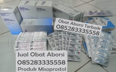 Mengenal 2 Obat Penggugur Kandungan Terampuh